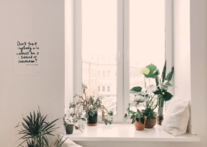 Co to jest feng shui i dlaczego działa